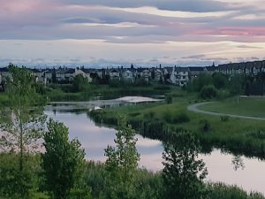 Massiel Koshy June evening from deck